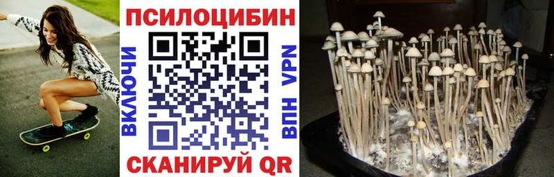 ОМГ ОМГ ссылки  Лихославль  Псилоцибиновые грибы GOLDEN TEACHER 